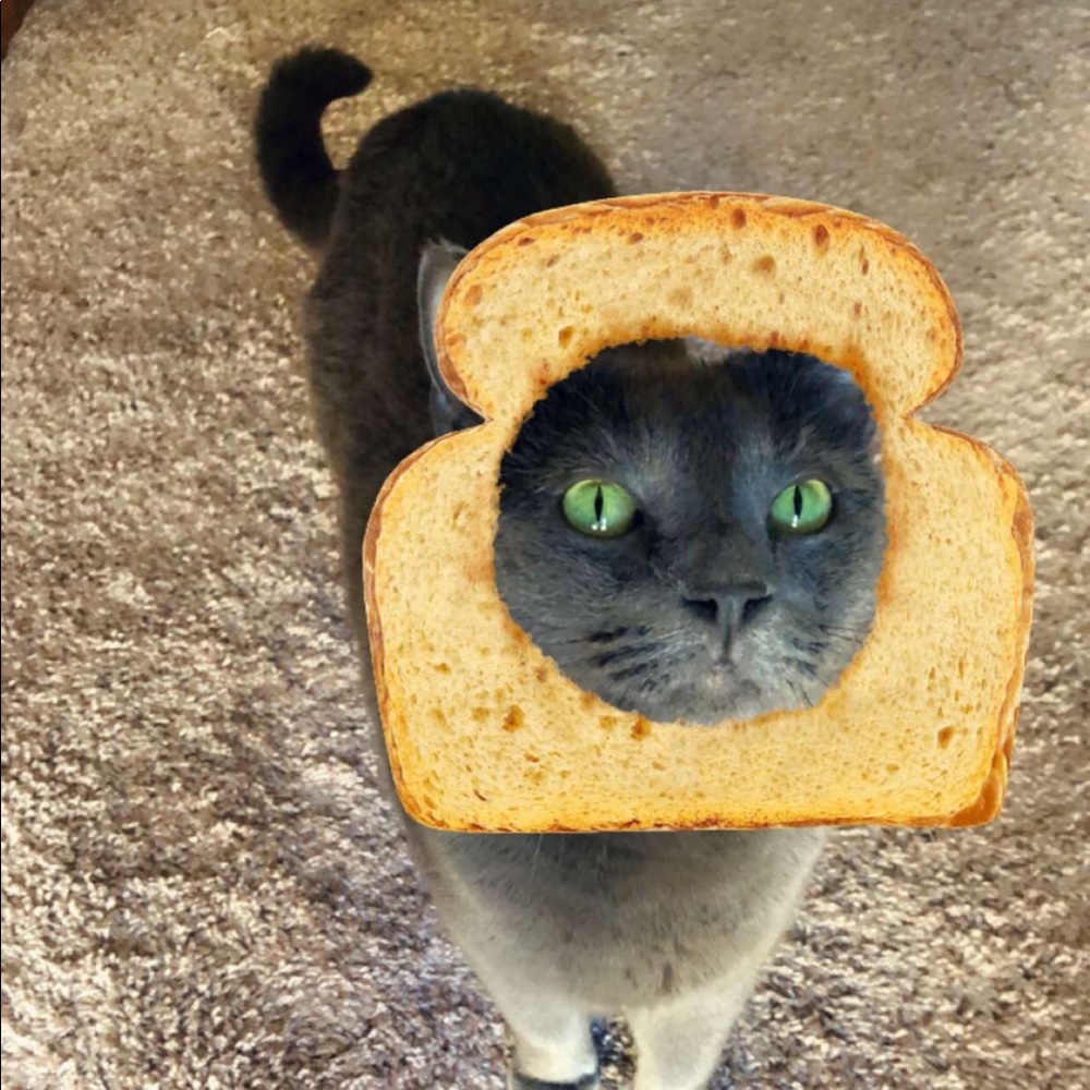 Meet your Posher, Meg